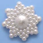 �p�[���J�{�V����