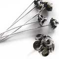 �w�b�h�s���@�~�j�t�����[�@�o���V���o�[�X�Q�T