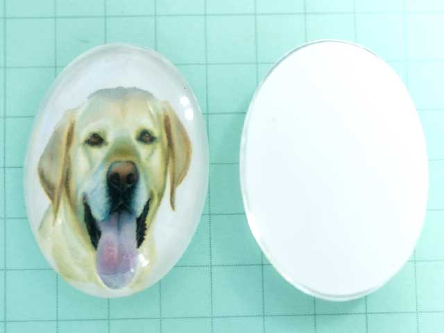 CO231JF　２５×１８　グラスカメオ　レトリーバー