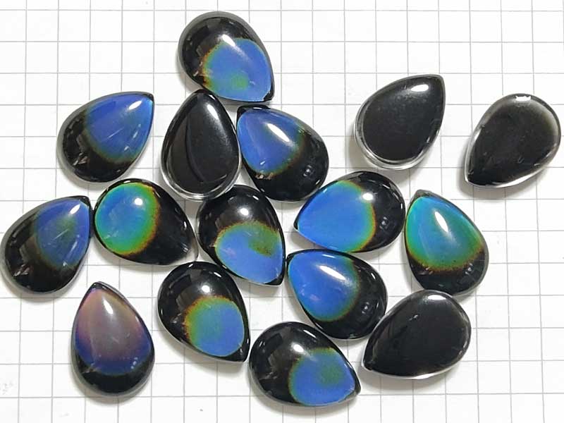 CS420PW　１８×１３　ドロップ　グラスカボ　サーモ