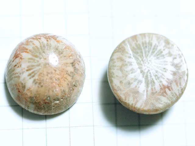 ST164TK　コーラルアゲート　１７．５×１７ｍｍ　ラウンド 