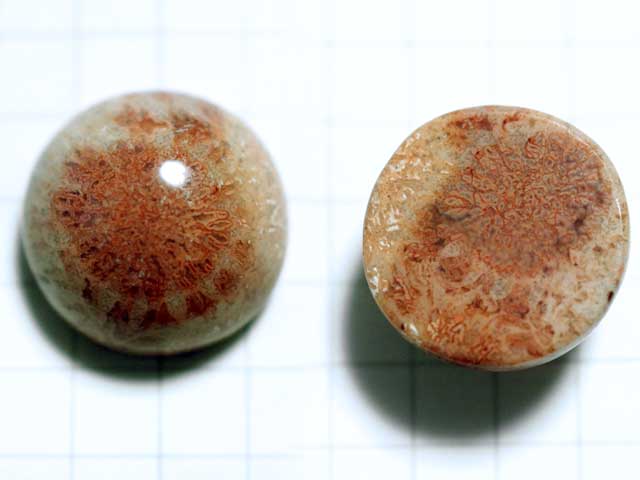 ST173TK　コーラルアゲート　１５．７ｍｍ　ラウンド 