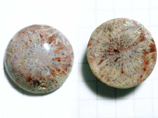 ST176TK　コーラルアゲート　１８ｍｍ　ラウンド 