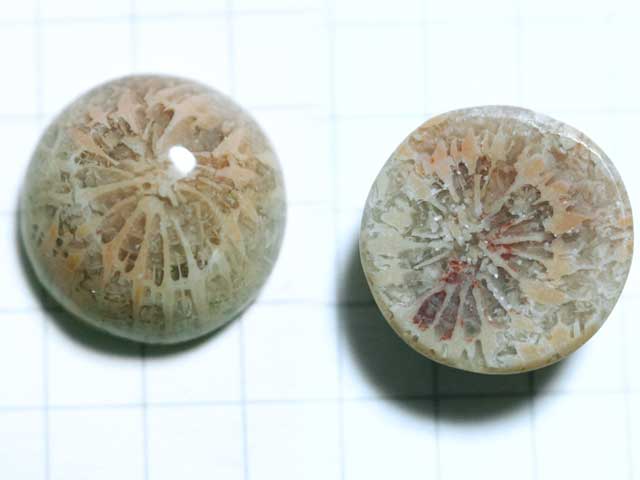 ST177TK　コーラルアゲート　１３．５ｍｍ　ラウンド 