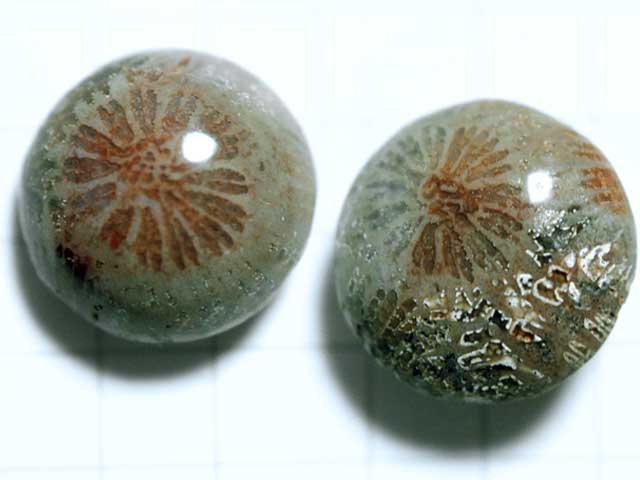 ST179TK　コーラルアゲート　１２．７ｍｍ　ラウンド 