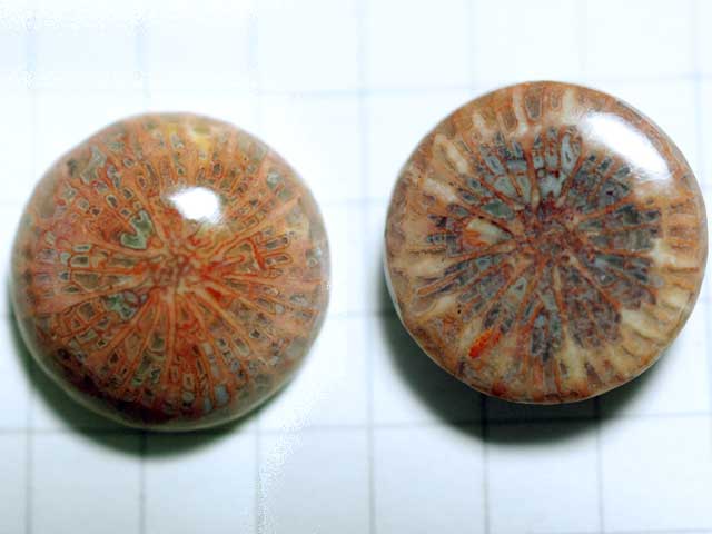 ST180TK　コーラルアゲート　１３．８ｍｍ　ラウンド 