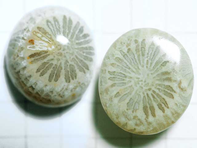 ST181TK　コーラルアゲート　１４．４×１２．８ｍｍ　オーバル 