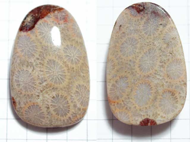 STK164T３１．３×２０　変形オーバル　菊目石