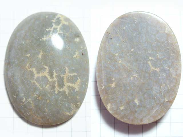 STK165T３９．８×２９．５　オーバル　菊目石