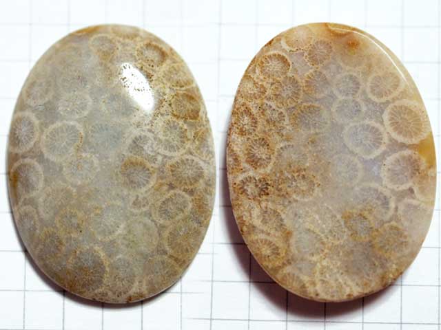 STK171T３６．３×２７　オーバル　コーラルアゲート