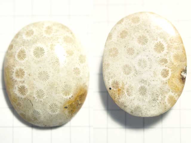 STK173T　２８×２２．５　オーバル　菊目石