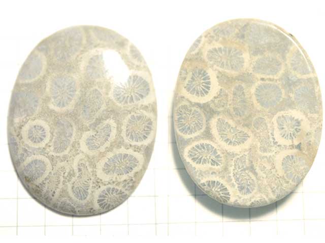 STK174T　３５．４×２７．４　オーバル　菊目石