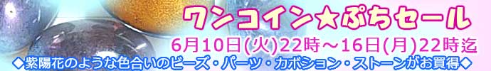 うさきや　ワンコインセール６月