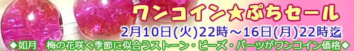 うさきや　ワンコインセール２月