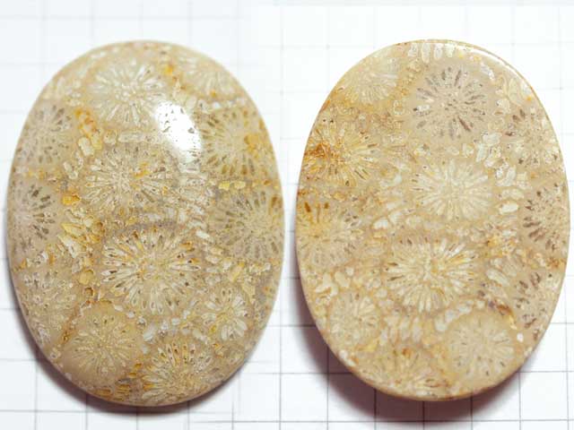 STK169T３６．６×２７．５　オーバル　菊目石