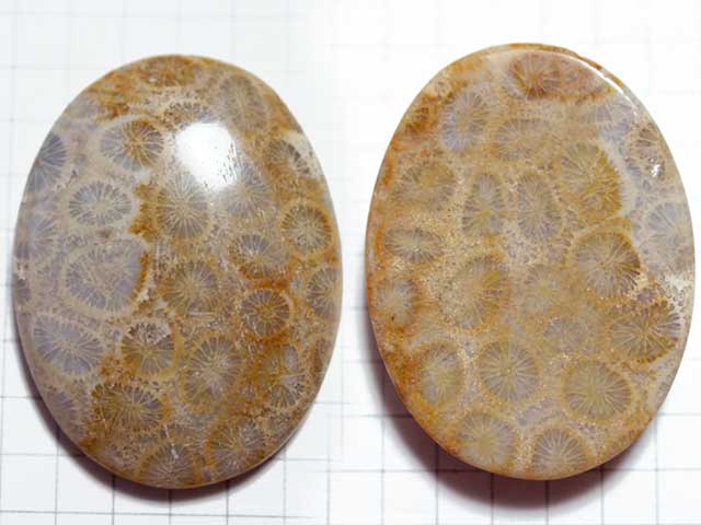 ３８．７×２９．1　オーバル　菊目石